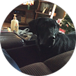 Profile photo of Julie Kranz