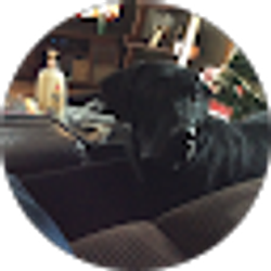 Profile photo of Julie Kranz