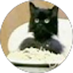 Profile photo of Travis Brown