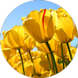 Profile photo of Deborah K