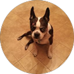 Profile photo of diane hernandez