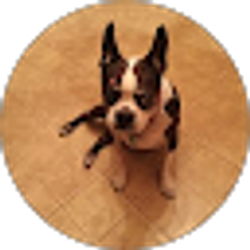 Profile photo of diane hernandez