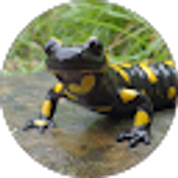 Profile photo of X Gutierrez