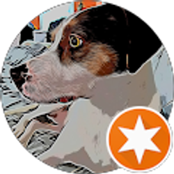 Profile photo of Rose Rivas