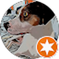 Profile photo of Rose Rivas