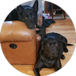 Profile photo of randy matney