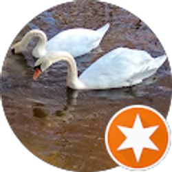 Profile photo of The one and only