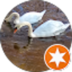 Profile photo of The one and only