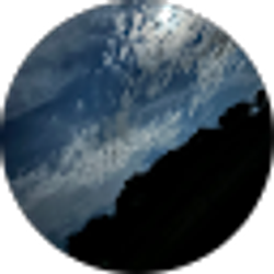 Profile photo of Sherry