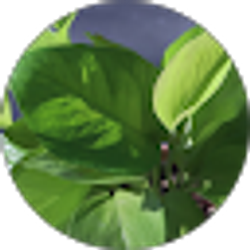 Profile photo of alyssa