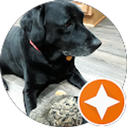 Profile photo of Jenna bear