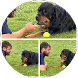 Profile photo of Kim Nickerson