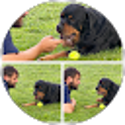 Profile photo of Kim Nickerson