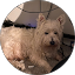 Profile photo of Eli Walton