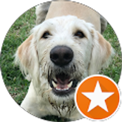 Profile photo of J V