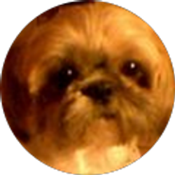 Profile photo of Geri G