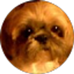Profile photo of Geri G