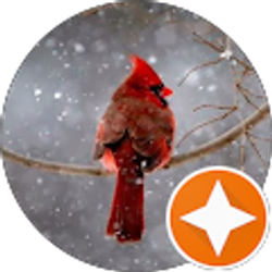 Profile photo of Audie Black