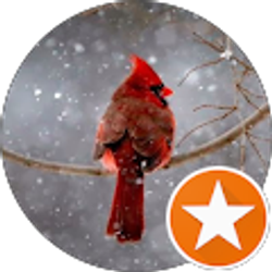 Profile photo of Audie Black