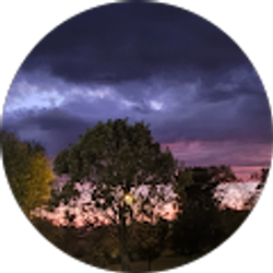 Profile photo of Shyla Hunt