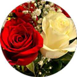 Profile photo of Hawa Sesay