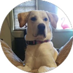 Profile photo of Kelly Manship