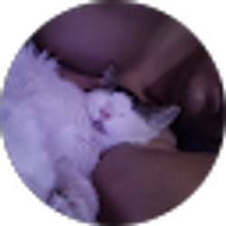 Profile photo of Abel Josue Solis Ramirez