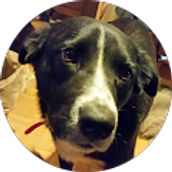 Profile photo of Bryan Does