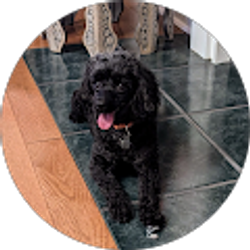 Profile photo of Debra Daniel