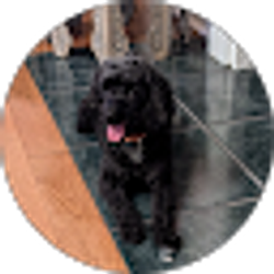 Profile photo of Debra Daniel