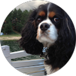 Profile photo of Susan Otis