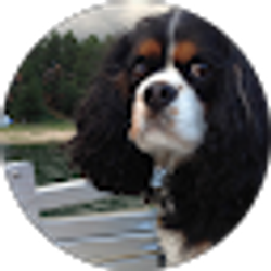 Profile photo of Susan Otis