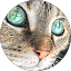 Profile photo of Minnepeg and Cam
