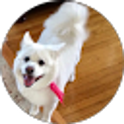 Profile photo of J P (LexiLu)