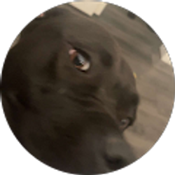 Profile photo of Zach