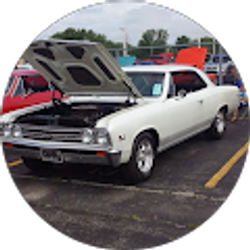 Profile photo of Mike Bee