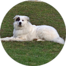 Profile photo of Ashlie Mullins