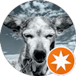 Profile photo of Breezy Times