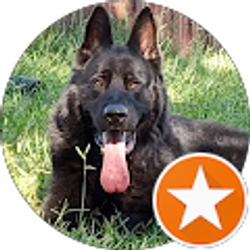 Profile photo of Barry