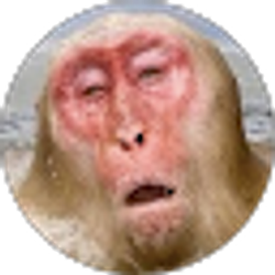 Profile photo of Kevin McBride