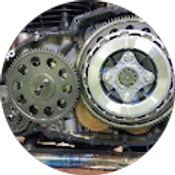 Profile photo of STEVE