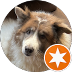 Profile photo of Jared Franklin