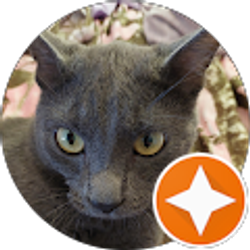 Profile photo of Anna Cook