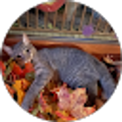 Profile photo of Andrew / Debbie Perrotte