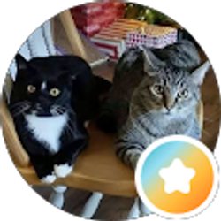 Profile photo of Scott Sloniker