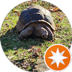 Profile photo of Bob Prado