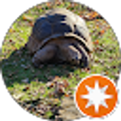 Profile photo of Bob Prado