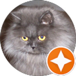 Profile photo of Liz Barbour