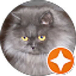 Profile photo of Liz Barbour