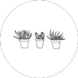 Profile photo of Miarose Caputo